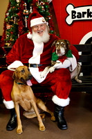 Bark Station with Santa